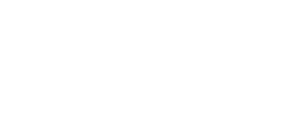 Logo Raizen site
