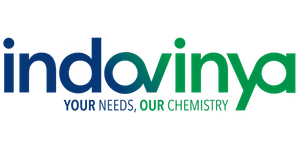 Logo Indovinya site